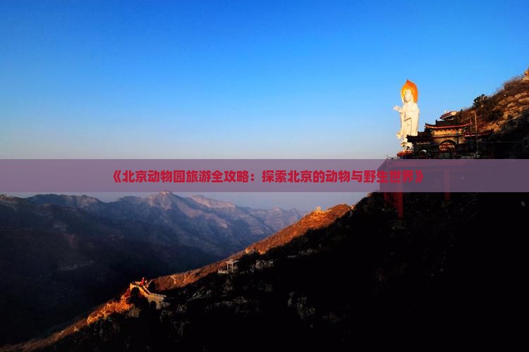 《北京动物园旅游全攻略：探索北京的动物与野生世界》