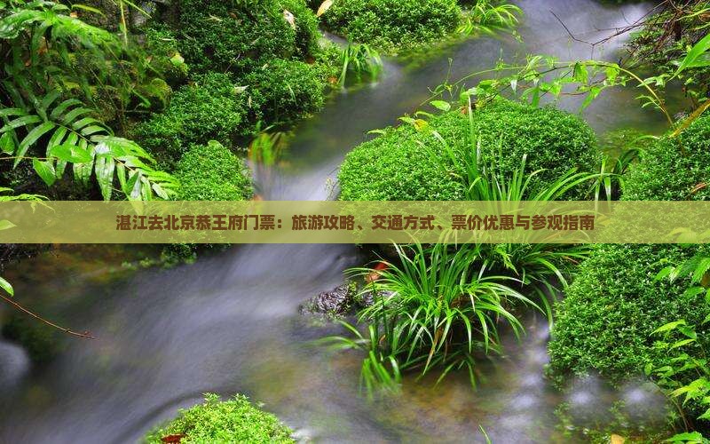 湛江去北京恭王府门票：旅游攻略、交通方式、票价优惠与参观指南