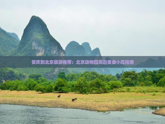 安庆到北京旅游推荐：北京动物园周边美食小吃指南
