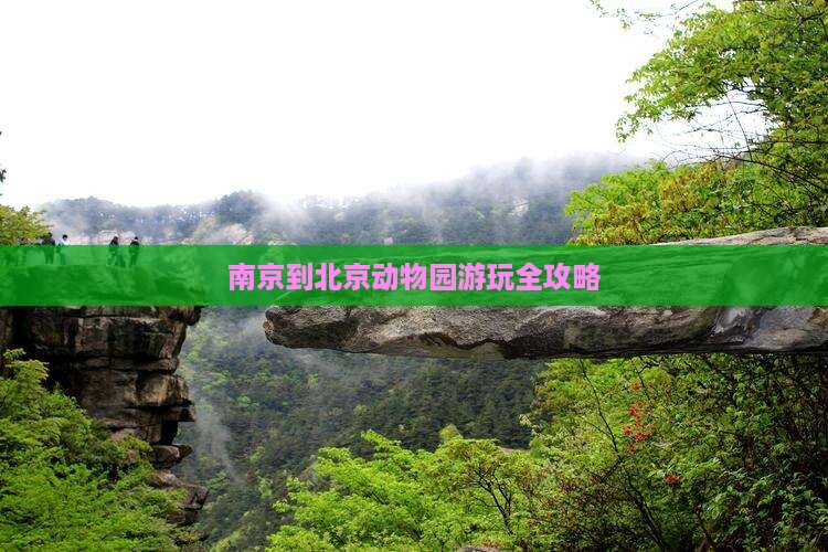 南京到北京动物园游玩全攻略