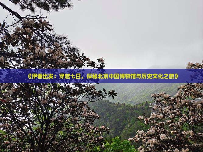 《伊春出发：穿越七日，探秘北京中国博物馆与历史文化之旅》