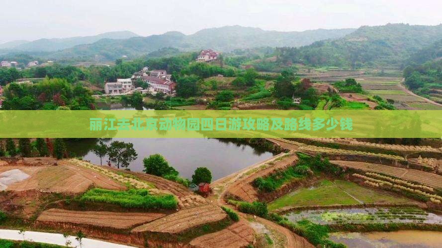 丽江去北京动物园四日游攻略及路线多少钱