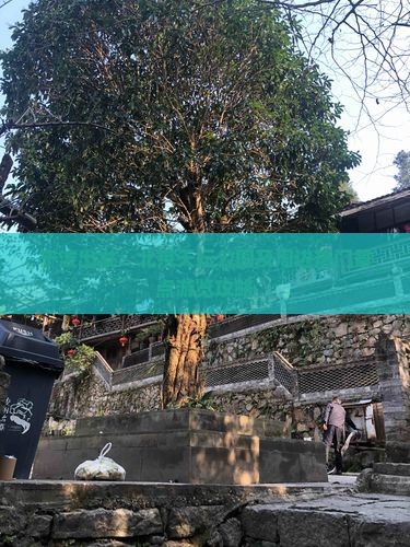 宁波出发：北京天坛公园及周边热门景点游览攻略