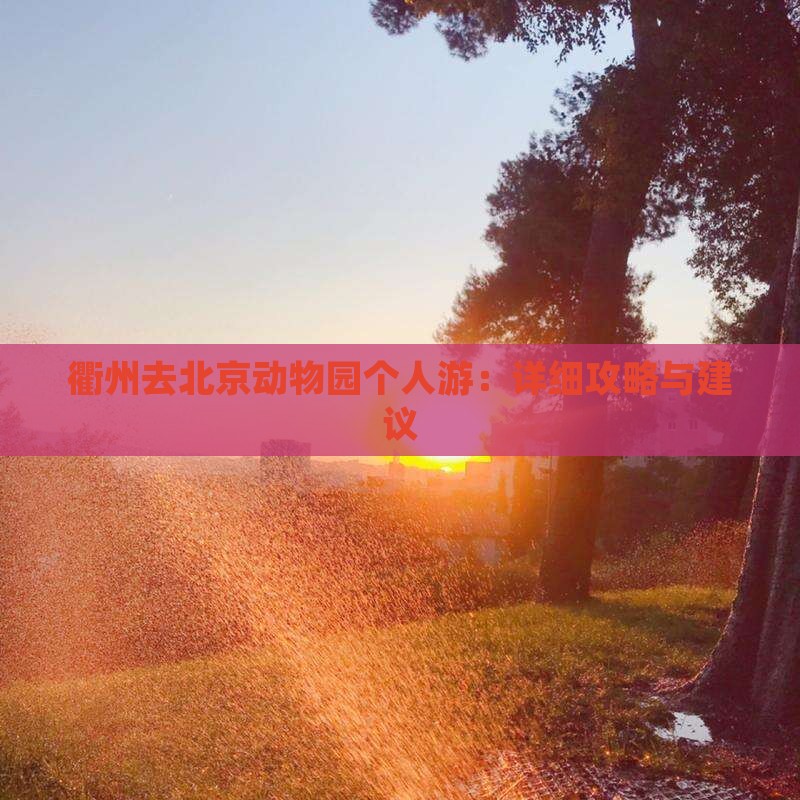 衢州去北京动物园个人游：详细攻略与建议