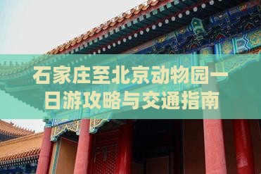 石家庄至北京动物园一日游攻略与交通指南