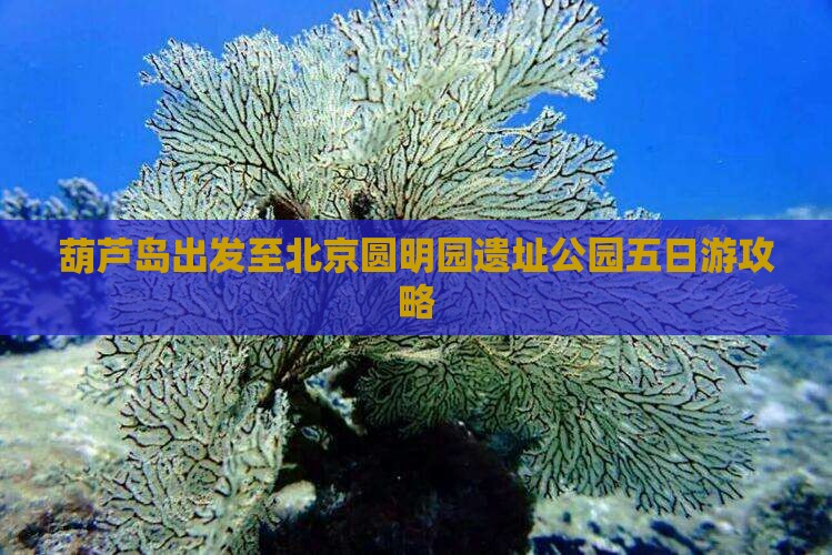 葫芦岛出发至北京圆明园遗址公园五日游攻略