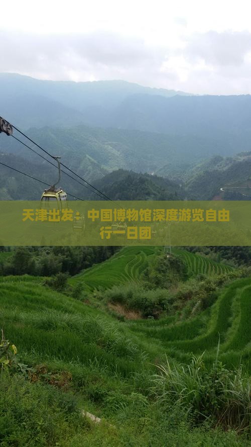 天津出发：中国博物馆深度游览自由行一日团