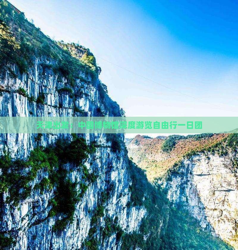 天津出发：中国博物馆深度游览自由行一日团