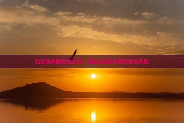 北京动物园美食之旅：探索北京动物园的美食天地