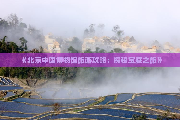 《北京中国博物馆旅游攻略：探秘宝藏之旅》