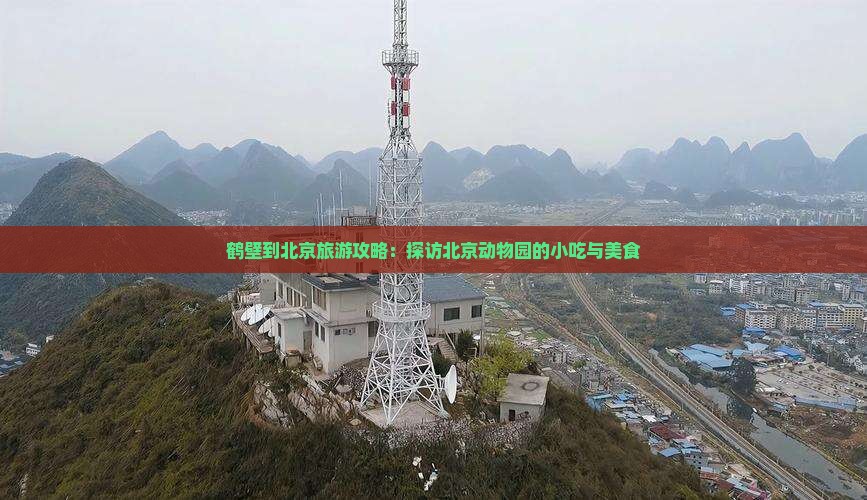 鹤壁到北京旅游攻略：探访北京动物园的小吃与美食