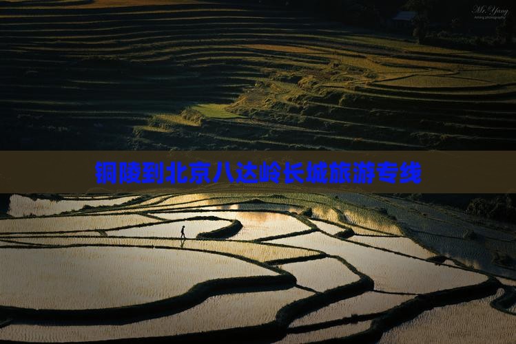 铜陵到北京八达岭长城旅游专线 铜陵到北京八达岭长城旅游专线