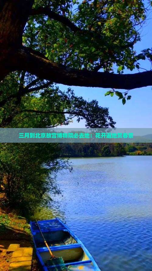 三月到北京故宫博物院必去地：花开遍地赏春景