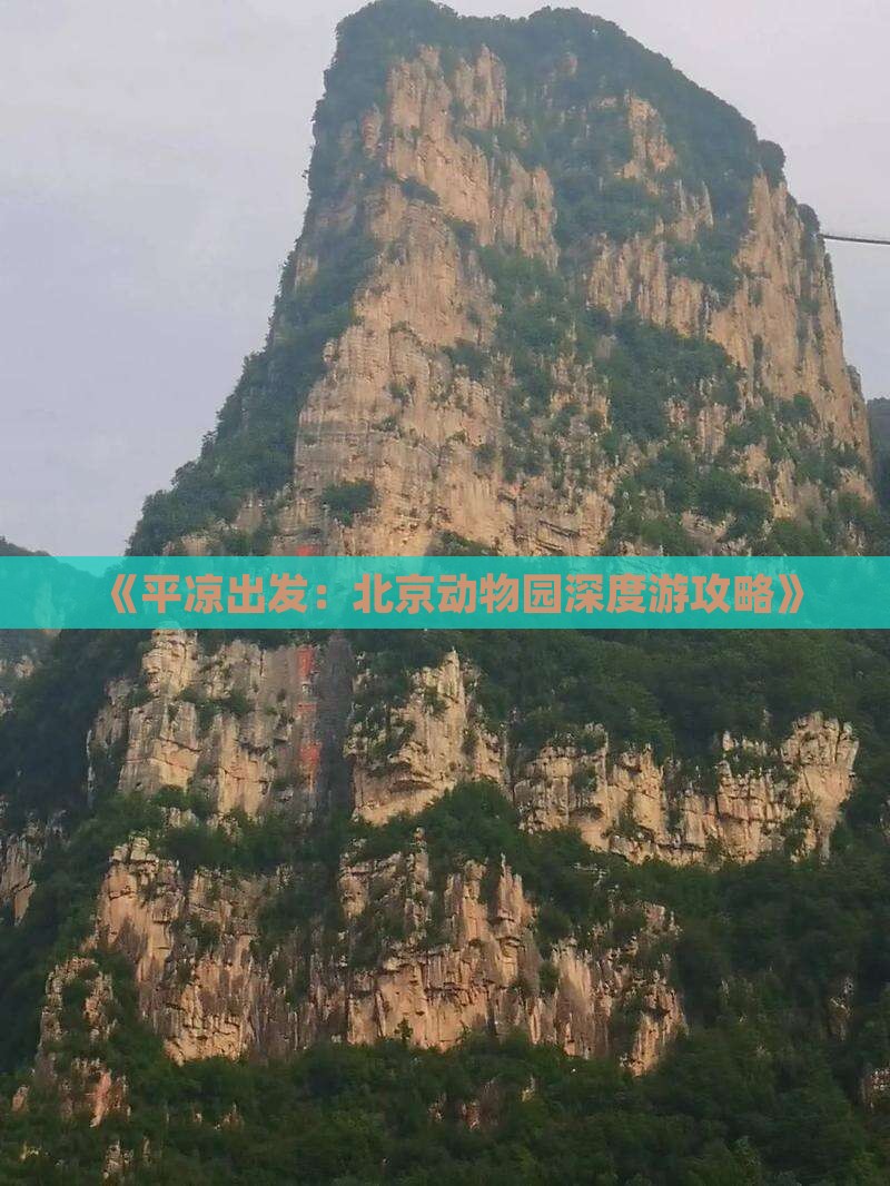 《平凉出发：北京动物园深度游攻略》