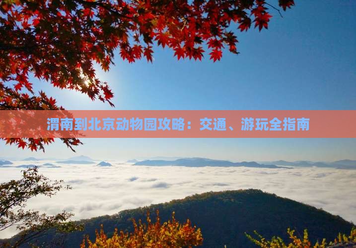 渭南到北京动物园攻略：交通、游玩全指南