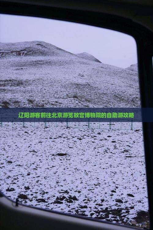辽阳游客前往北京游览故宫博物院的自助游攻略