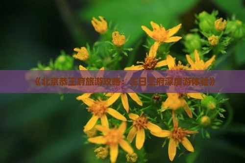 《北京恭王府旅游攻略：三日王府深度游体验》