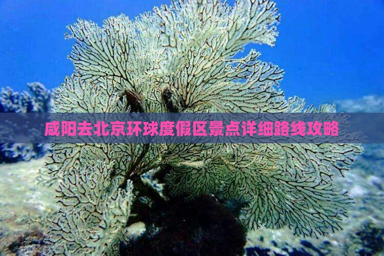咸阳去北京环球度假区景点详细路线攻略