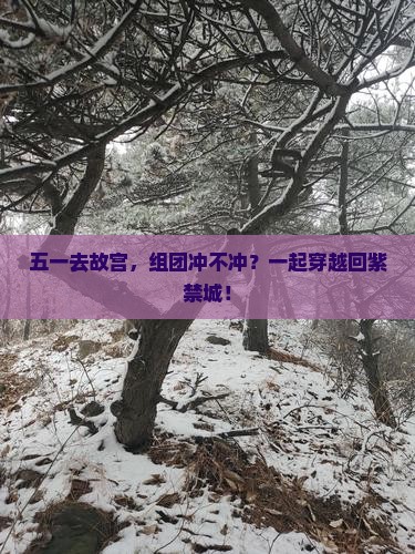 五月去北京故宫博物院团体旅游