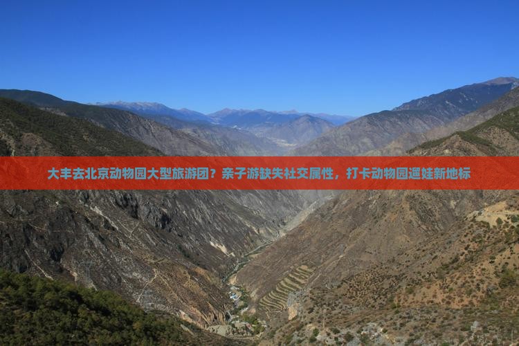 大丰去北京动物园大型旅游团
