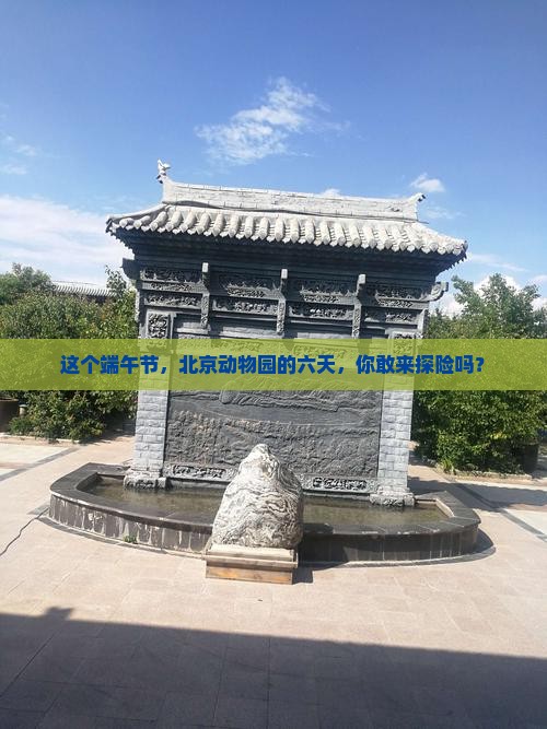 端午节到北京动物园六日游