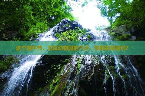 端午节到北京动物园六日游