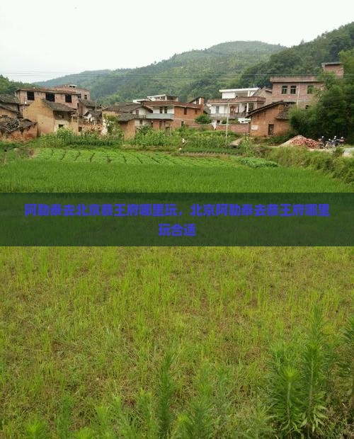 阿勒泰去北京恭王府哪里玩