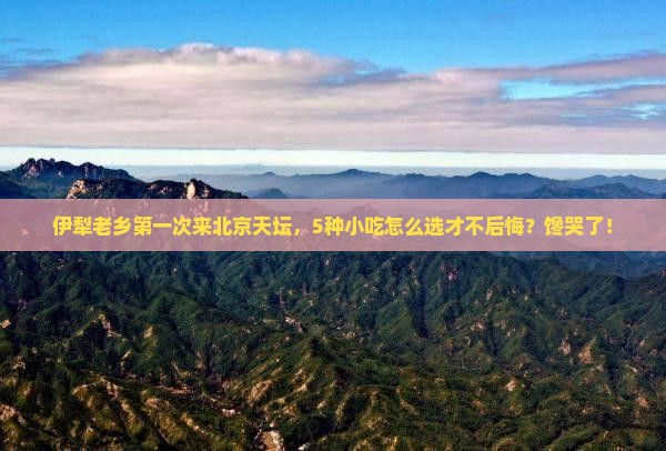 伊犁到北京天坛公园旅游小吃