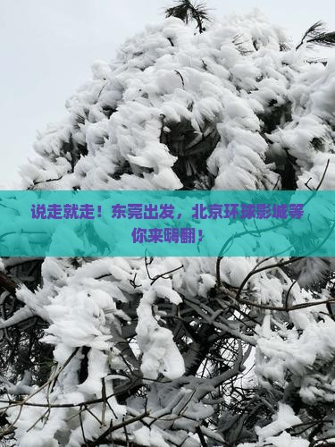 东莞去北京环球度假区个人游