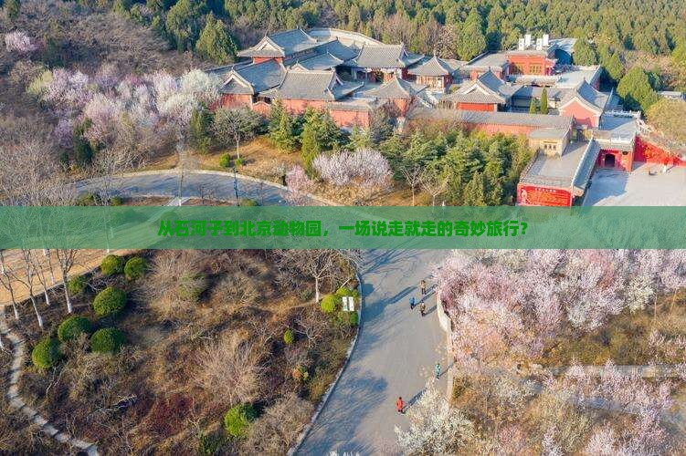 石河子去北京动物园团体旅游