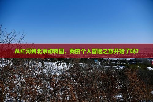 红河去北京动物园个人游