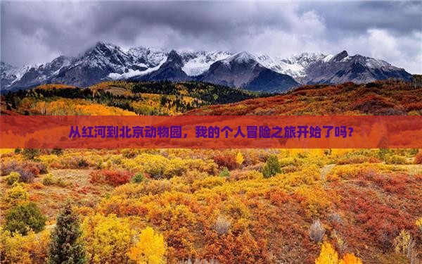 红河去北京动物园个人游