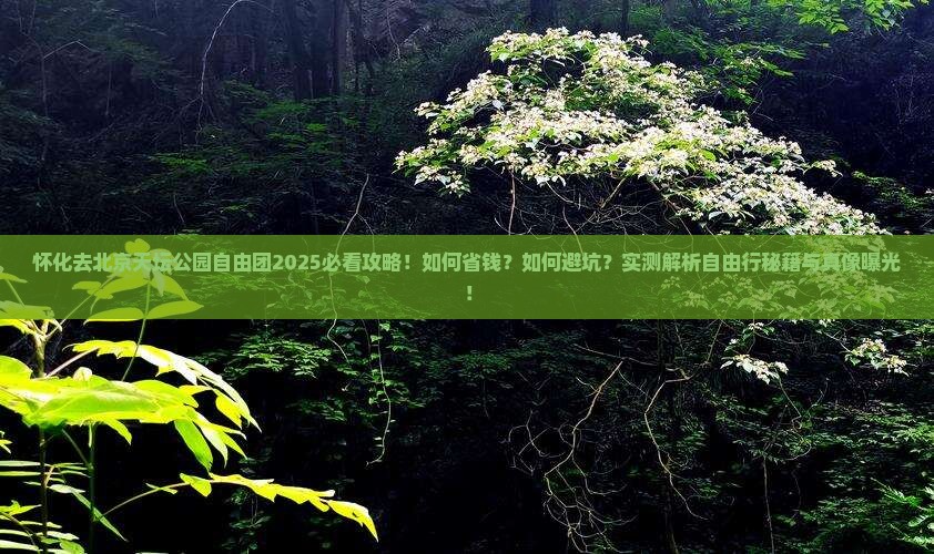 怀化去北京天坛公园自由团