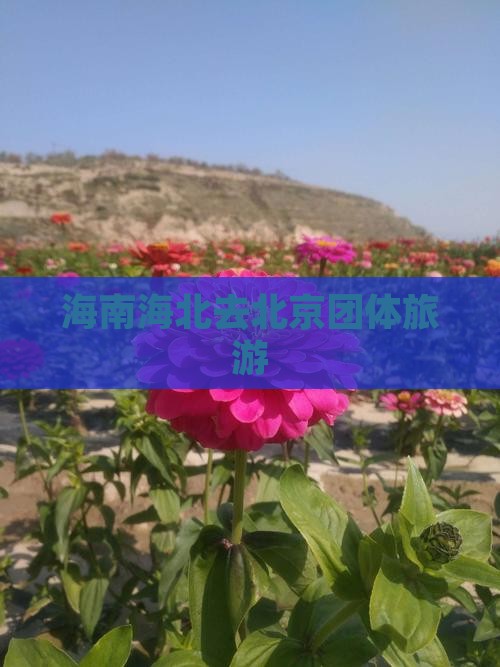 海北去北京团体旅游