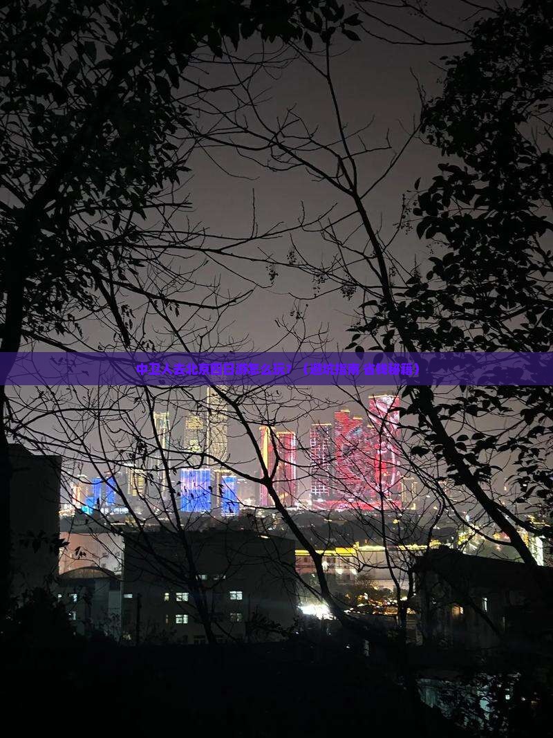 中卫去北京四日游