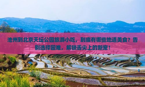 池州到北京天坛公园旅游小吃