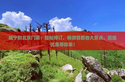 咸宁到北京门票