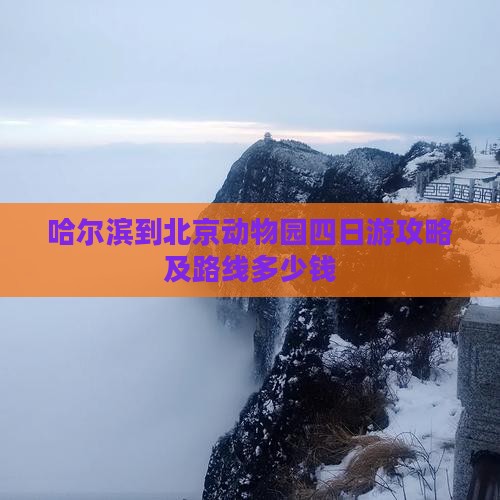 哈尔滨到北京动物园四日游攻略及路线多少钱