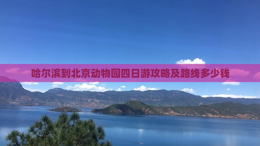 哈尔滨到北京动物园四日游攻略及路线多少钱