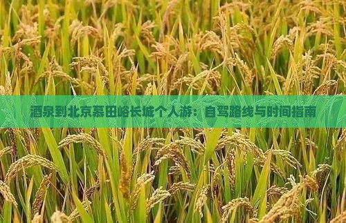 茶泉到北京慕田峪长城个人游：自驾路线与时间指南