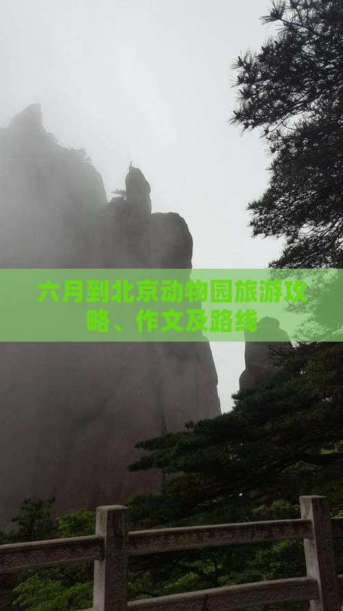 六月到北京动物园旅游攻略、作文及路线