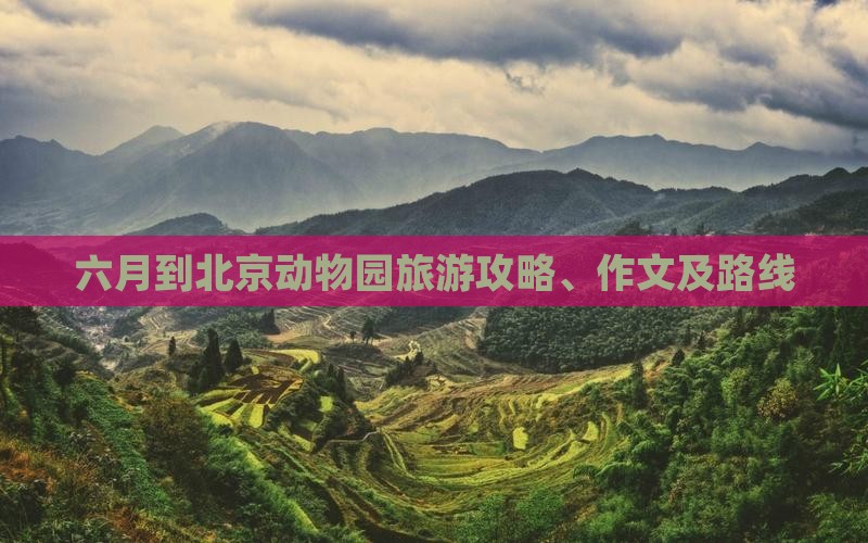 六月到北京动物园旅游攻略、作文及路线