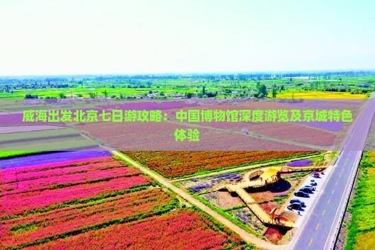 威海出发北京七日游攻略：中国博物馆深度游览及京城特色体验