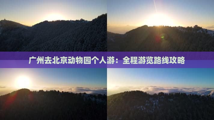 广州去北京动物园个人游：全程游览路线攻略