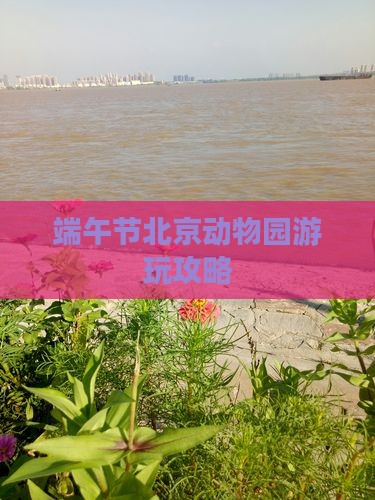 端午节北京动物园游玩攻略