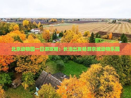 北京动物园一日游攻略：长治出发畅游京城动物乐园