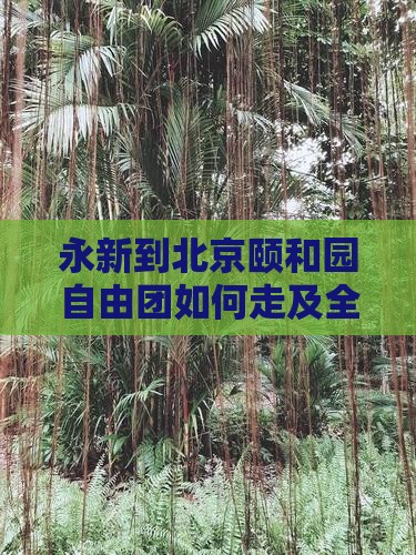 永新到北京颐和园自由团如何走及全程距离