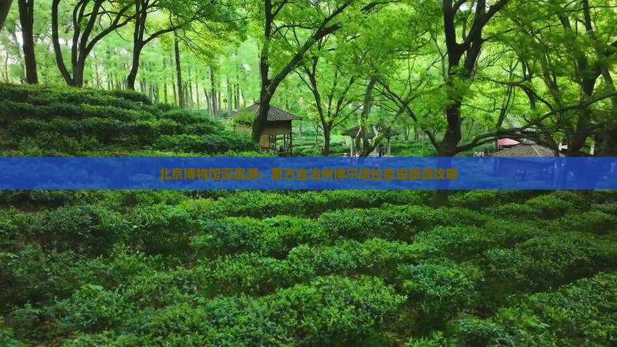 北京博物馆深度游：蒙古自治州博尔塔拉自由旅游攻略
