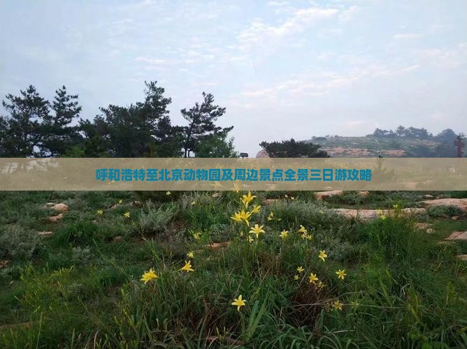 呼和浩特至北京动物园及周边景点全景三日游攻略