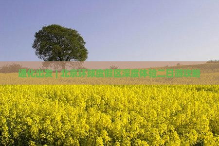 通化出发 | 北京环球度假区深度体验二日游攻略